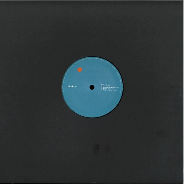 Data Memory Access, DJ Tjizza, Shaque : PICNIC005 EP (12", EP)