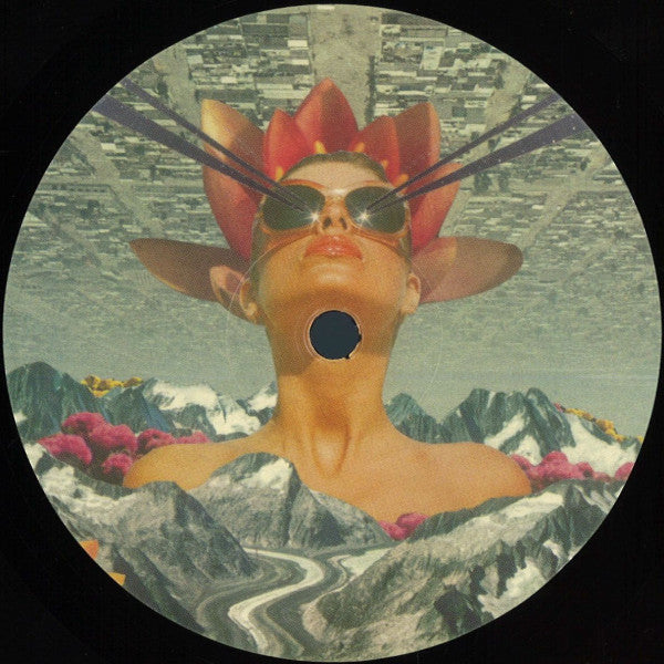 Adam Collins : MSR002 (12")