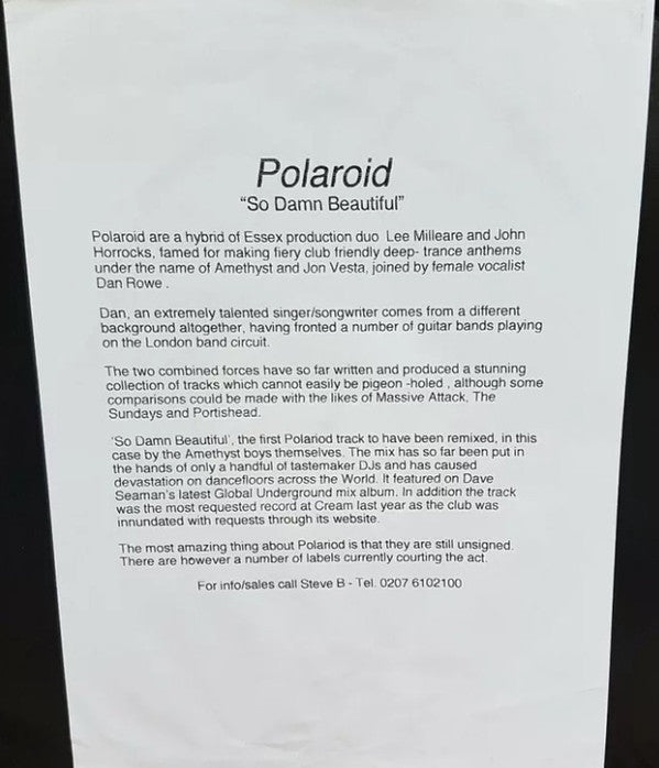 Polaroid* : So Damn Beautiful (12")