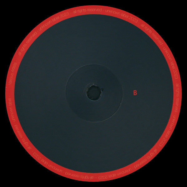 Various : UNK19 (12", EP)