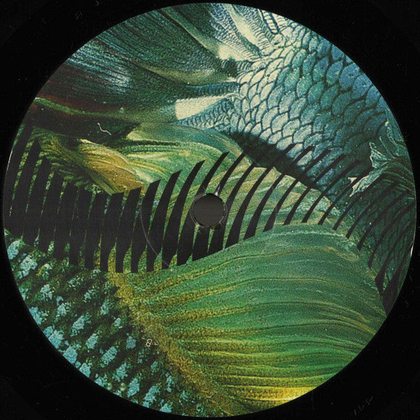 Gustavo Fridman : Dios Habla Hoy (12", EP)