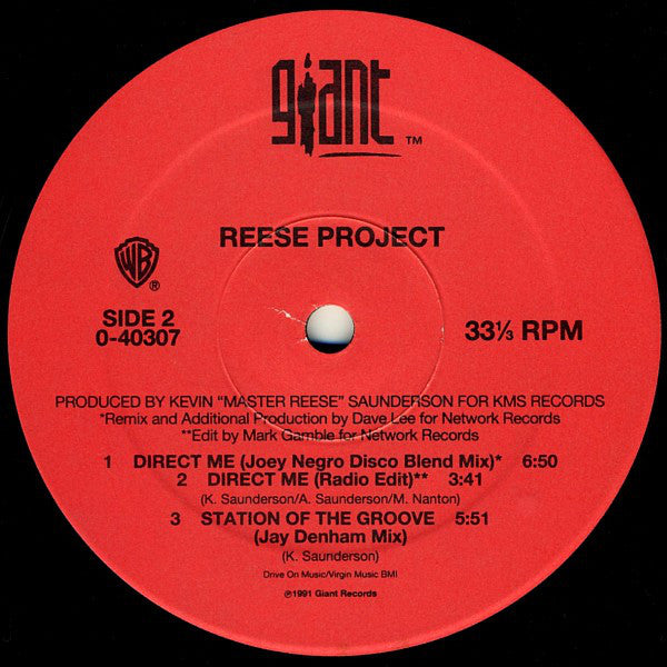 The Reese Project : Direct Me (12")