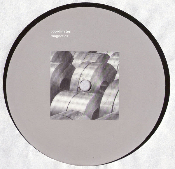Coordinates : Magnetics (12")