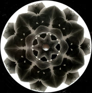 MOi (10) : 02 (12")
