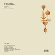 Iain Howie - Patterns - The Jay Tripwire Reworks (Curtea Veche) (M)