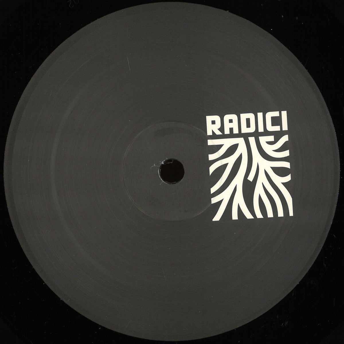 Cristian Sarde - Definitely Confusion (Radici Rec.) (M)