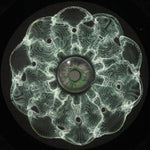 For•at - Luminus (LOKBLK001) (M)