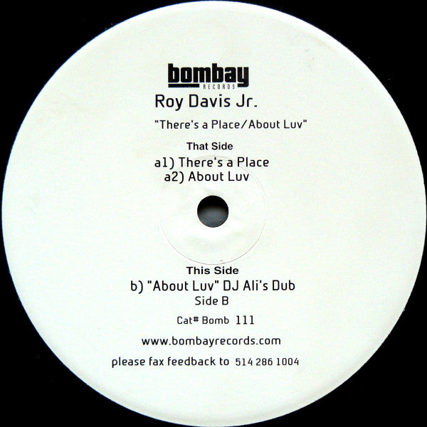 Roy Davis Jr. : There's A Place / About Love (12", TP)