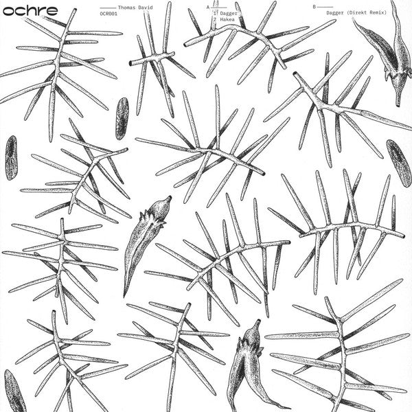 Thomas David (8) : Dagger / Hakea (12")