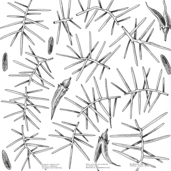Thomas David (8) : Dagger / Hakea (12")
