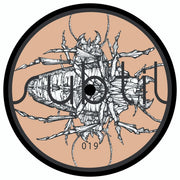 Traumer : Temple (12")