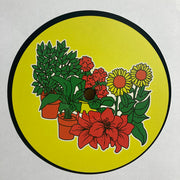 Markus Sommer (2) : Garden Party (12")