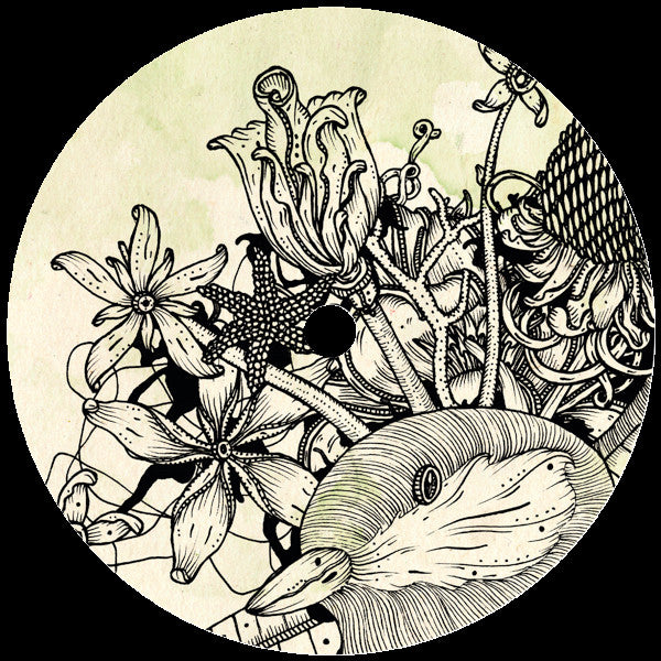 NTFO : Auction (12", EP)