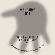 Felipe Valenzuela : A Year Of Fury EP (12", EP)