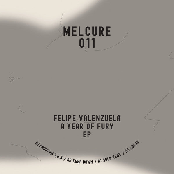 Felipe Valenzuela : A Year Of Fury EP (12", EP)