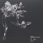 Andrea Ferlin : The Psychotropical Adventures Of Mister Gibson (12")