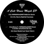 Various : A Cult House Muzik EP (12")