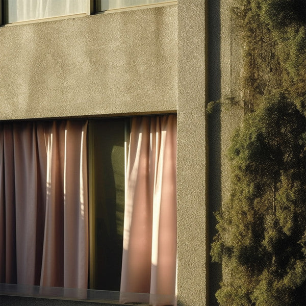 Will You :  Is It 2 Late? (12", EP)