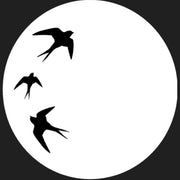 Rick Fox (5) : Enara Ltd 03 (12", Bioplastic, Ltd, Vin)