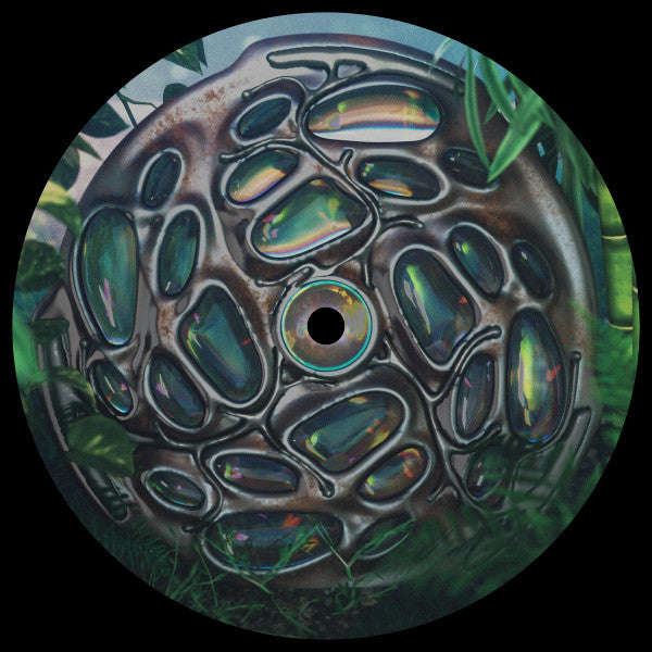 Shjva : The Message EP (12", EP)