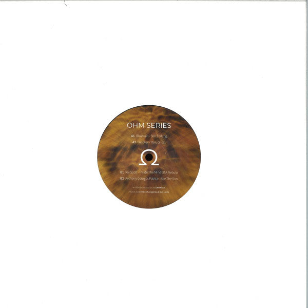 Various : Ohm Series 14 (12")