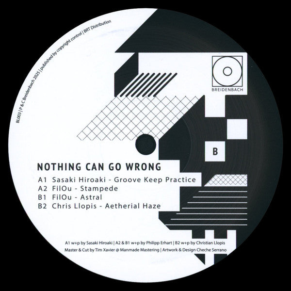 Various : Nothing Can Go Wrong (12")