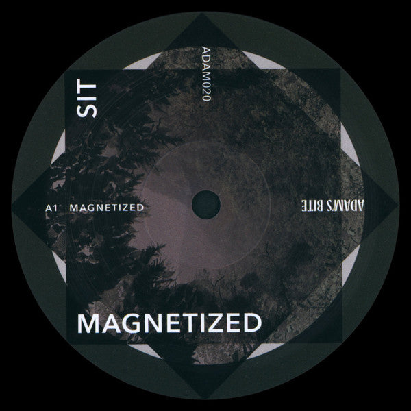 Sideways Invisibility Theory : Magnetized (12")