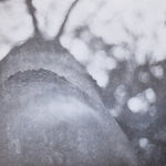 Unknown Artist : KNWN7.5 (12", 180)