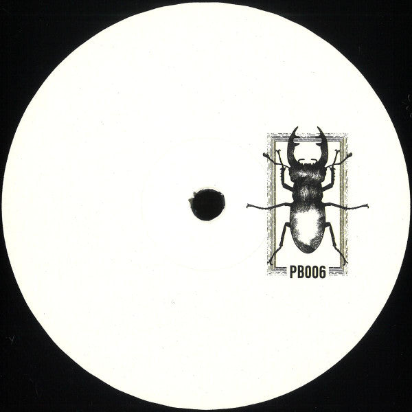 Unknown Artist : Pb #06 (12", S/Sided, W/Lbl)