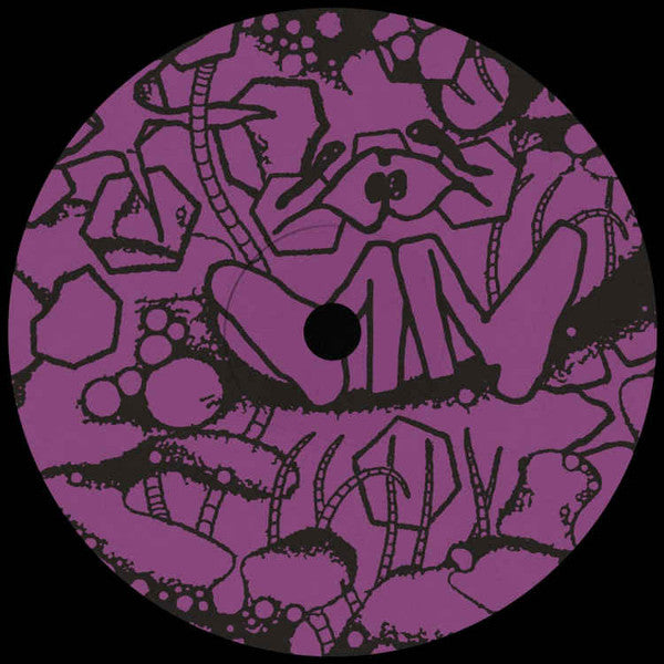 Aiden Francis : Floral Oceans (12", EP)