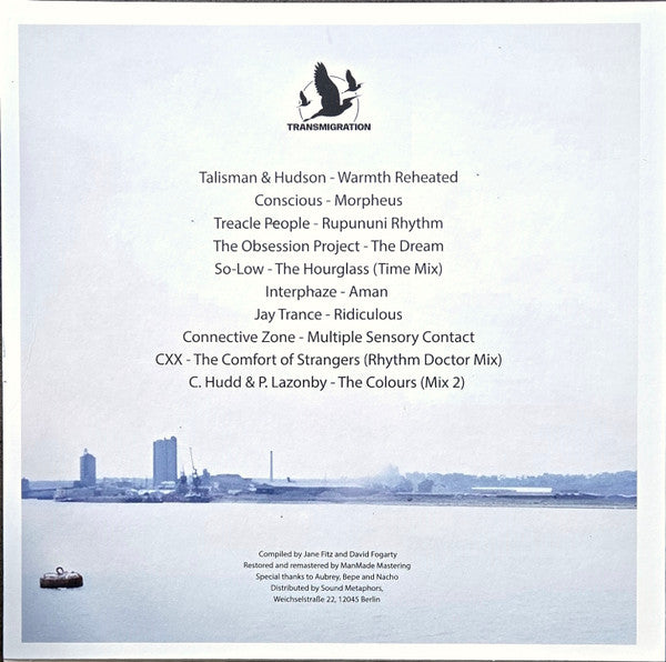 Jane Fitz, David Fogarty (3) : Mysterious Vastness (2x12", Comp)