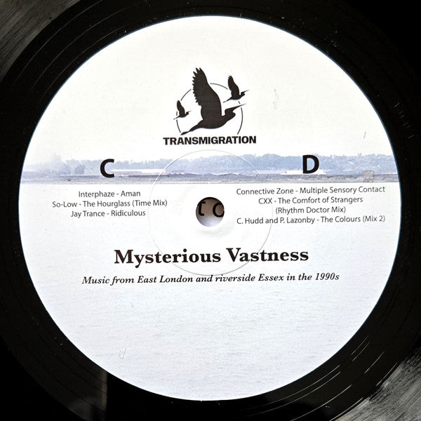 Jane Fitz, David Fogarty (3) : Mysterious Vastness (2x12", Comp)