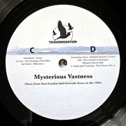 Jane Fitz, David Fogarty (3) : Mysterious Vastness (2x12", Comp)