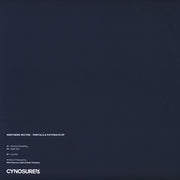 Northern Vector : Portals & Pathways EP (12", EP)