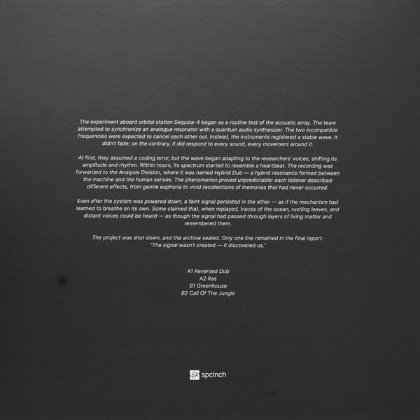 R.Hz : Hybrid Dub (12", Whi)