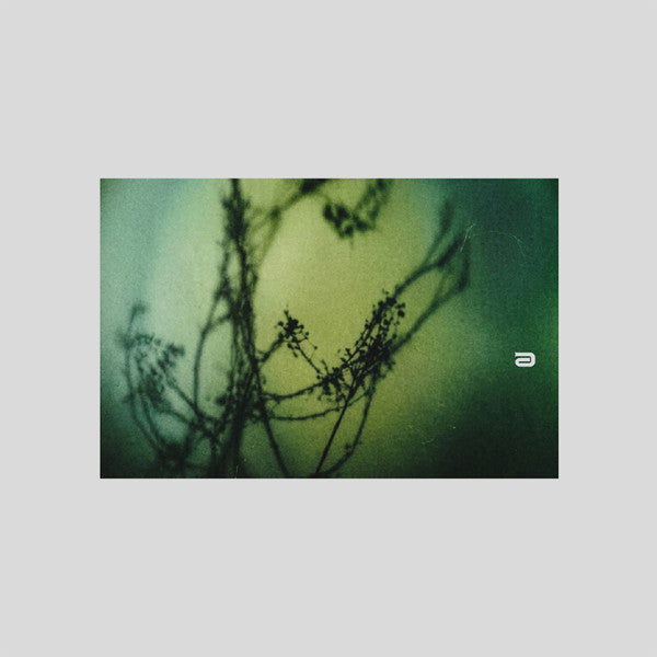 Omar Akhrif, O.M.M. : Human Error Value (12")