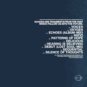 Alexander Kowalski : Echoes (2x12", Album, RE, RM, Blu)