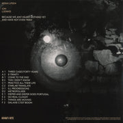 Ion Ludwig : Because We Aint Heard Nothing Yet And Have Not Even Tried (3x12", Album)