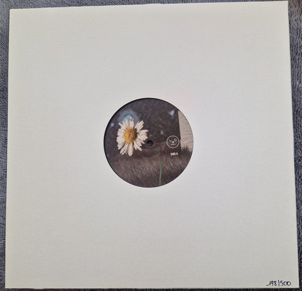 Sasha : Hollow Sun (12", Ltd, Num)