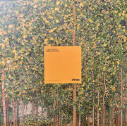 Mihai Popoviciu : Messages EP (12", EP)