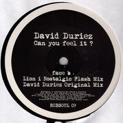 David Duriez : Can You Feel It? (12")