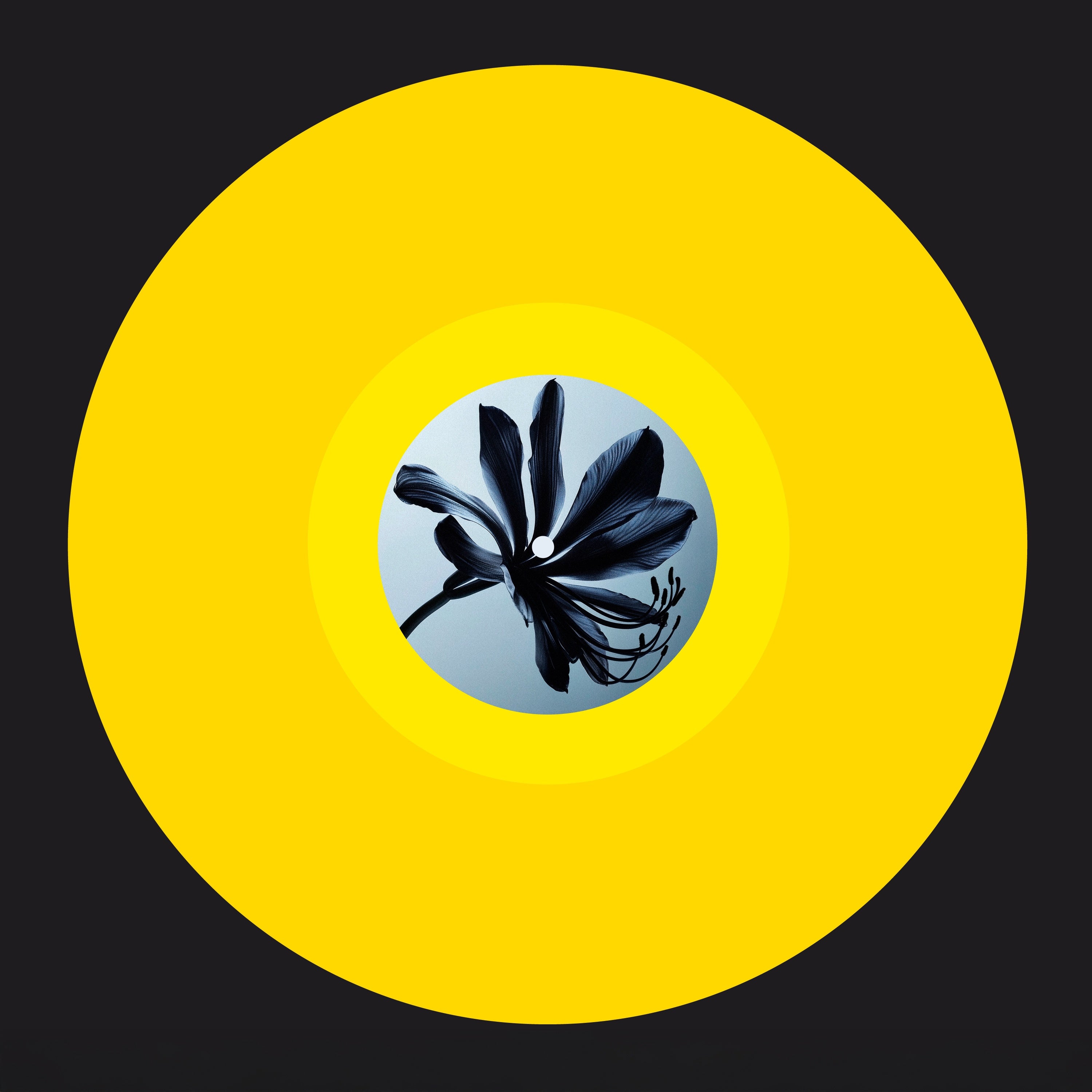 Delavelour - Glimpse Of Light (Remixes) (Poésie Angulaire) (M)