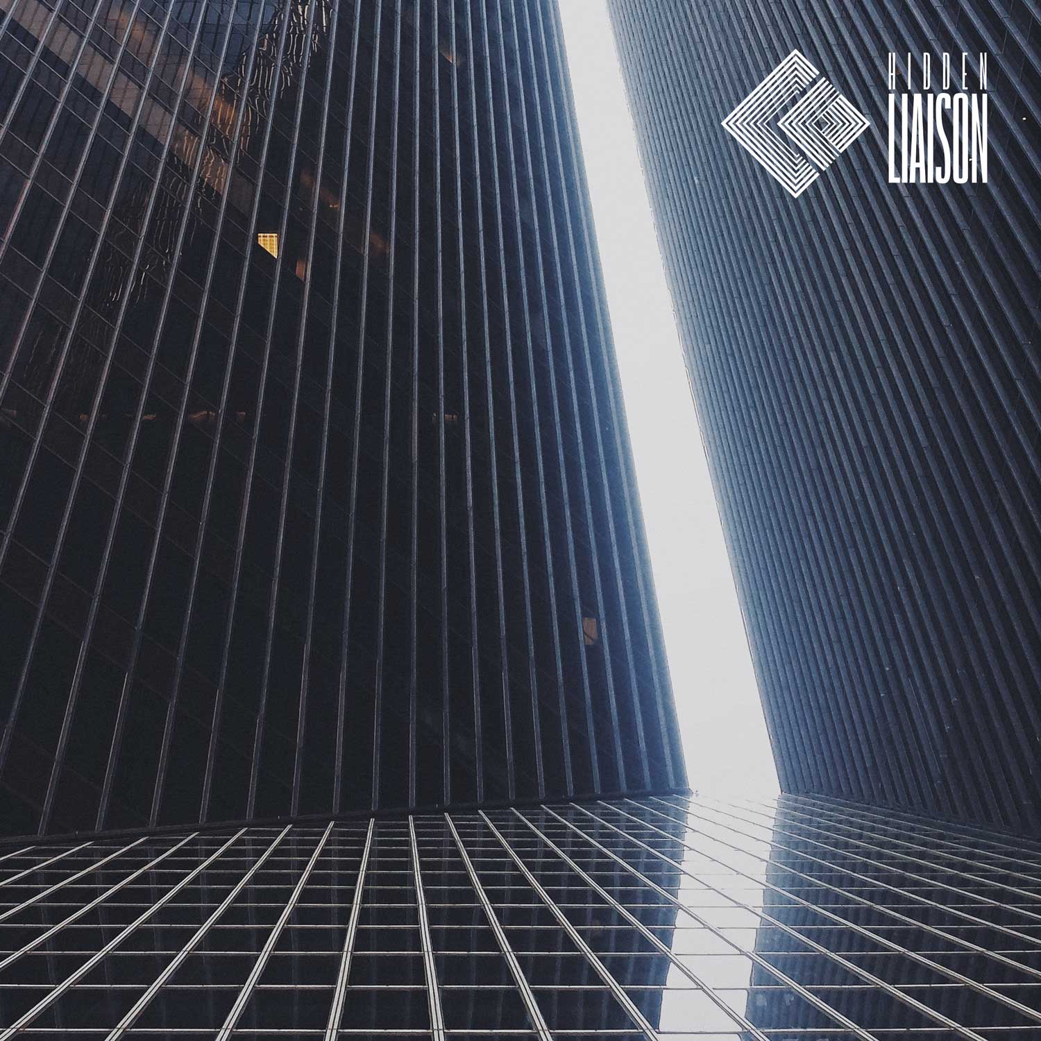 Various - HLR002 (Hidden Liaison Recordings) (M)