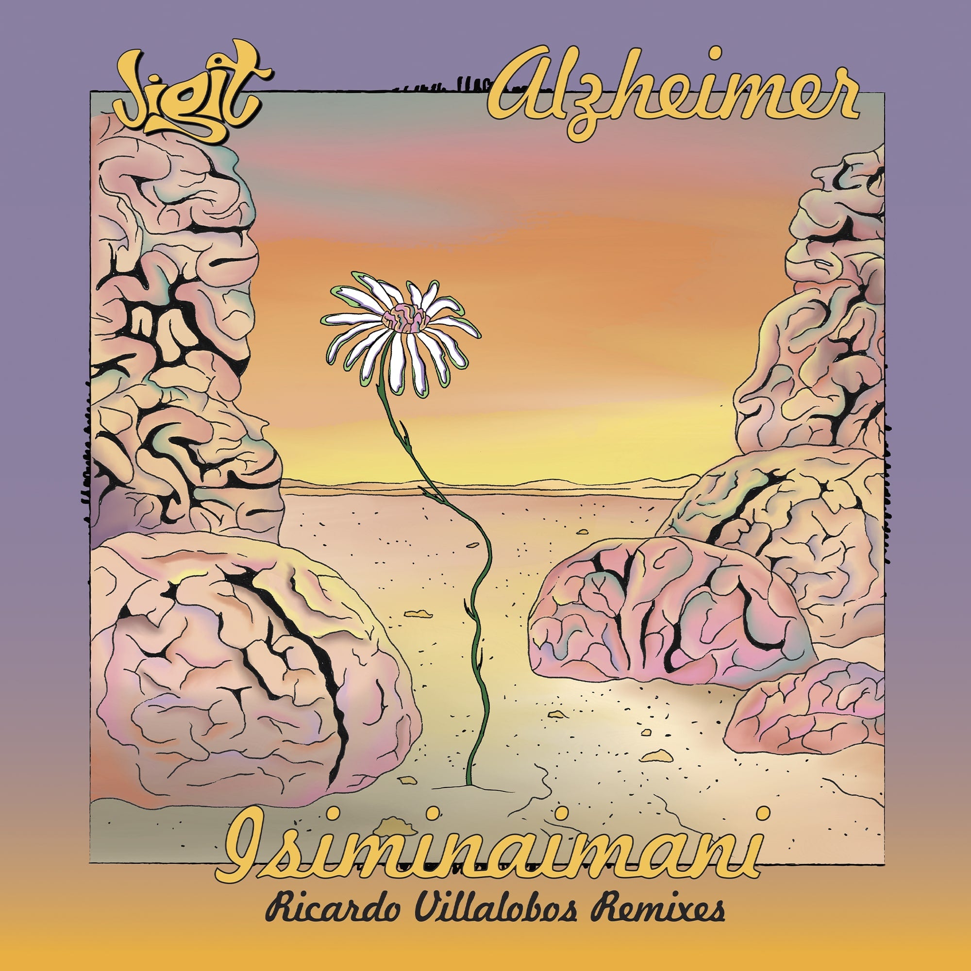 Alzheimer, VILLALOBOS, Wetsuit - Alzheimer Limited Box Set (Jigit) (M)