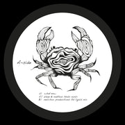 Shadi Megallaa - What Now Ep (Seaweed Rythm) (M)