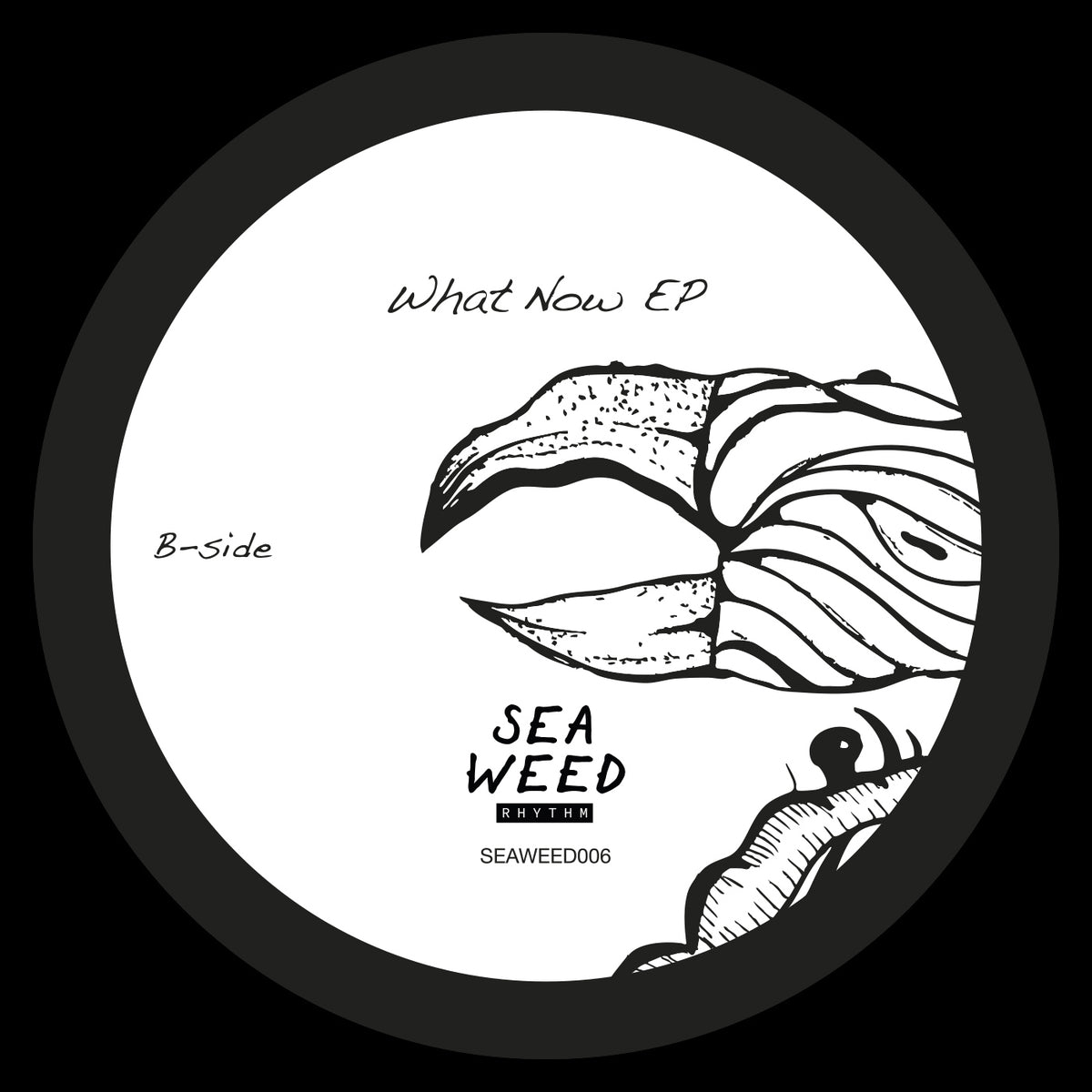 Shadi Megallaa - What Now Ep (Seaweed Rythm) (M)