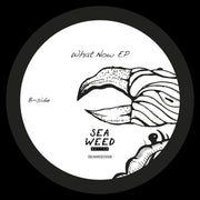 Shadi Megallaa - What Now Ep (Seaweed Rythm) (M)