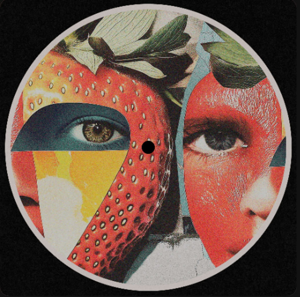 Various - FRUIT MEDLEY VOL. 3 (Fraise Records) (M)