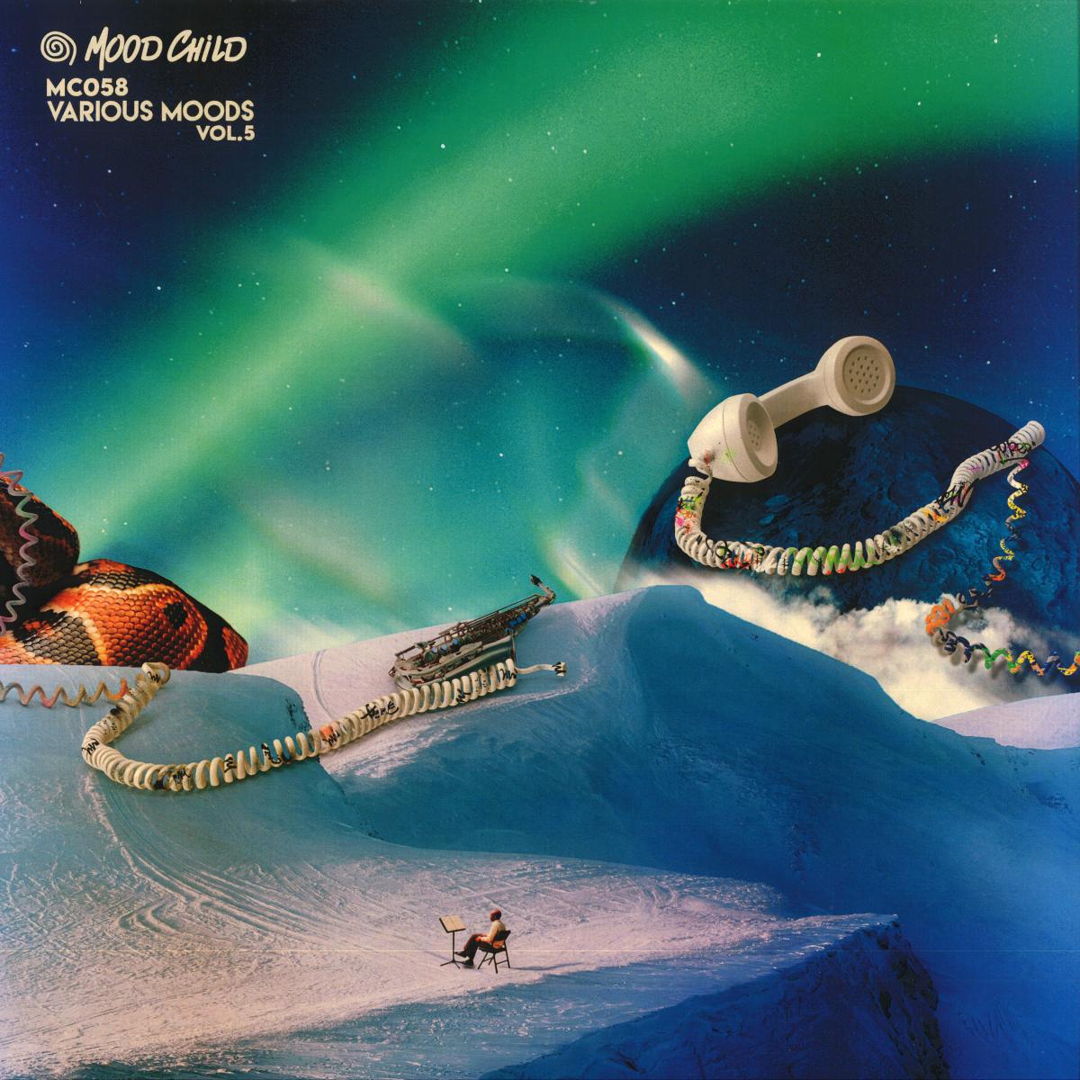 Various - Various Moods Vol. 5 (Mood Child) (M)