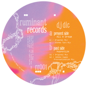 DJ Dic - All A Dream / Hypnotize (Ruminant Records) (M)